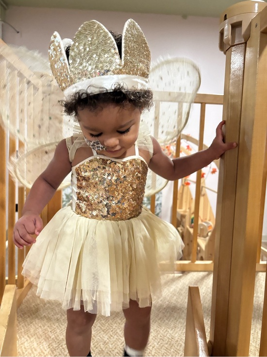 Noralee Other - Girls Gold Sequin Tulle Party Dress with Crown